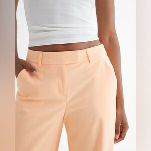 Express Editor Mid Rise Relaxed Trouser Pant✨